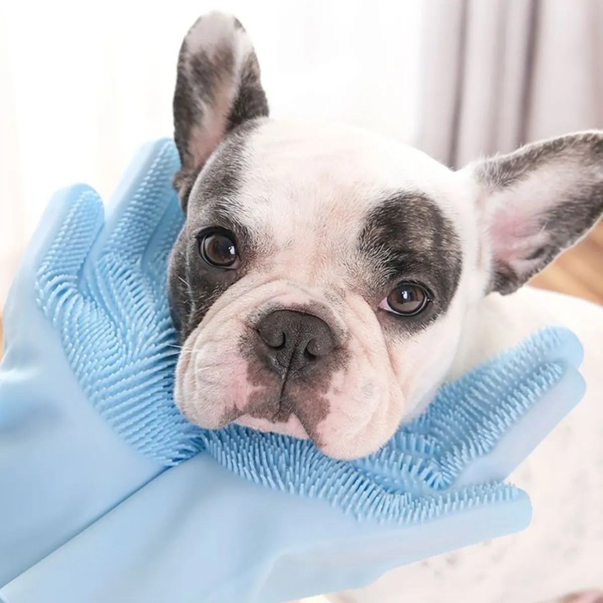Massage Pet Washing Gloves