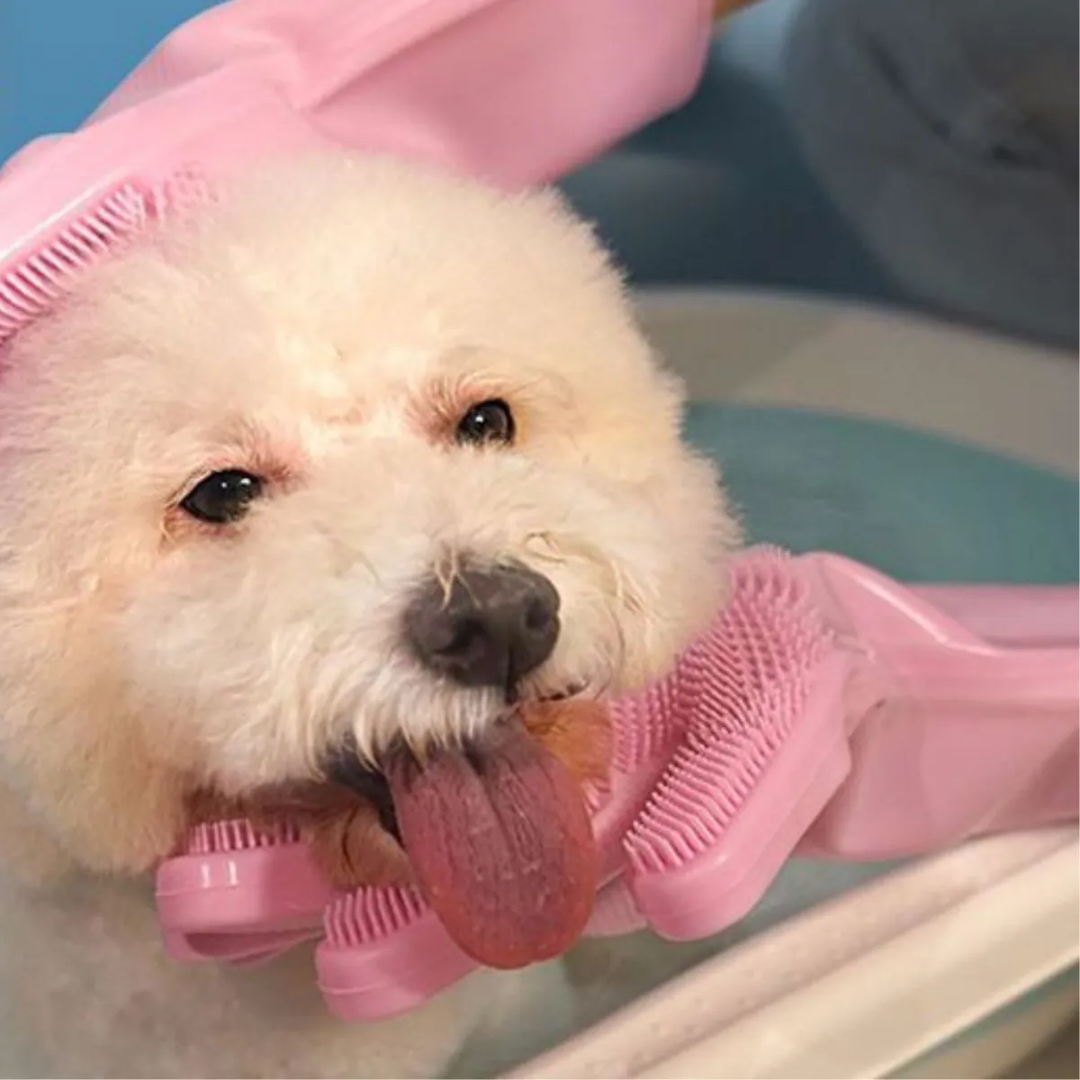 Massage Pet Washing Gloves