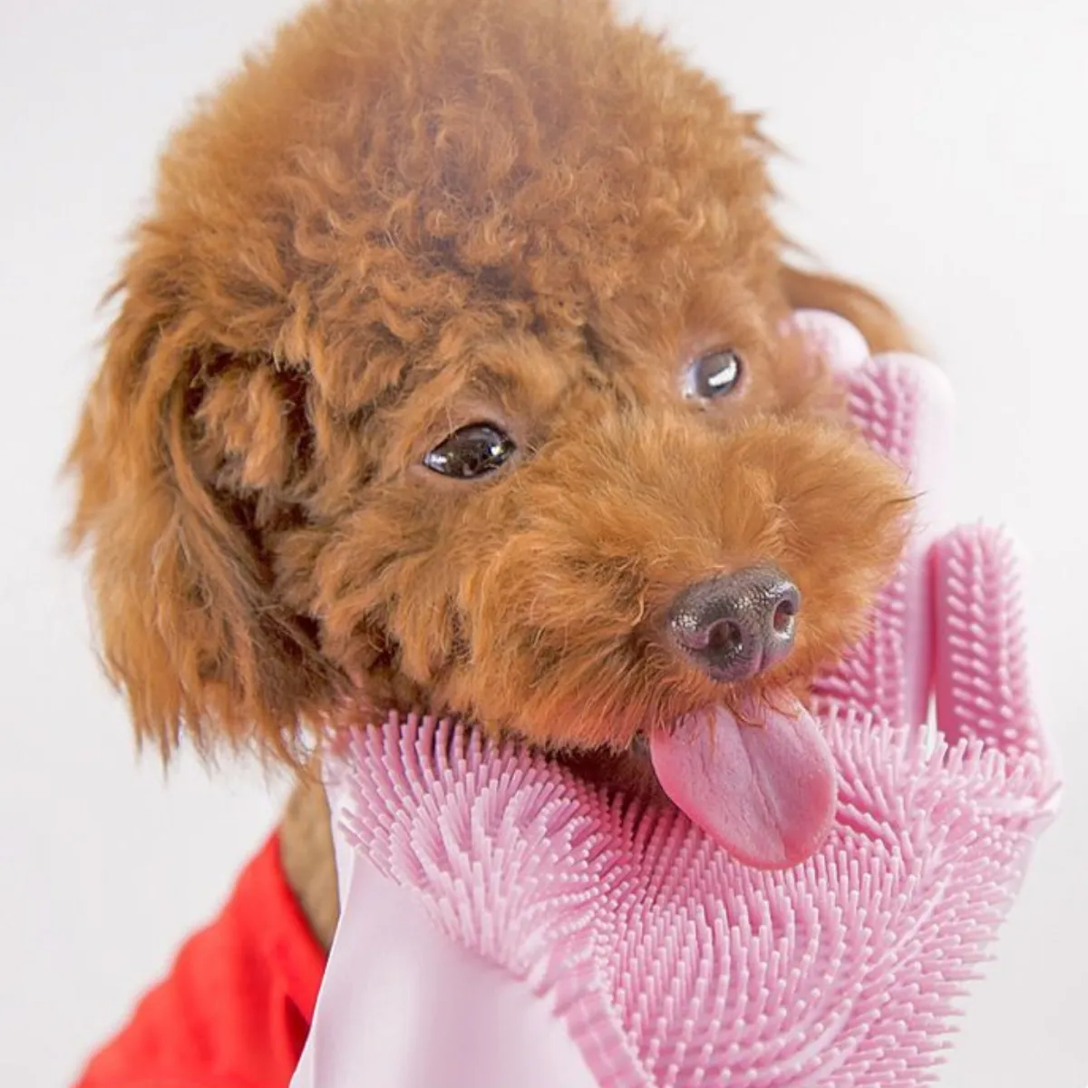 Massage Pet Washing Gloves