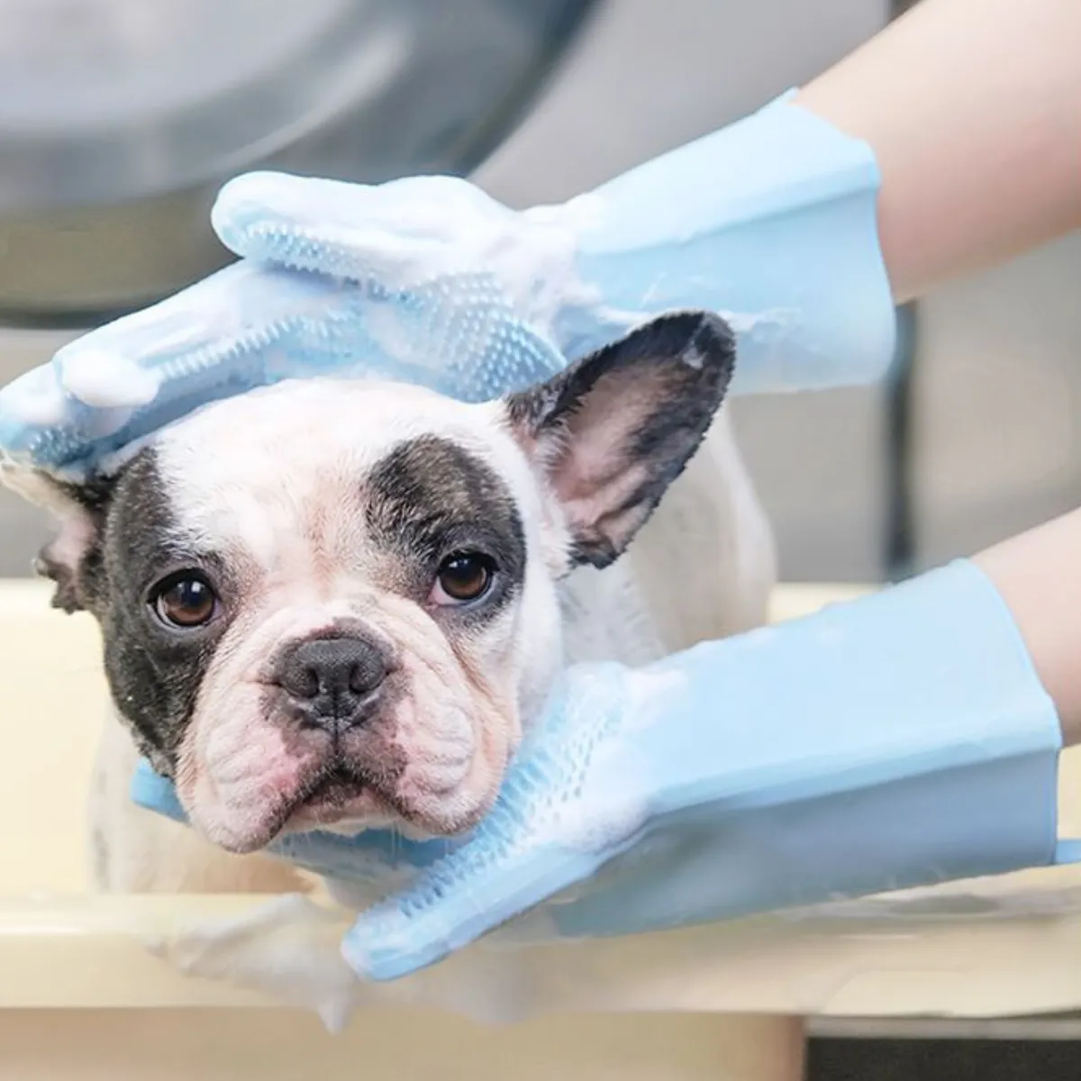 Massage Pet Washing Gloves