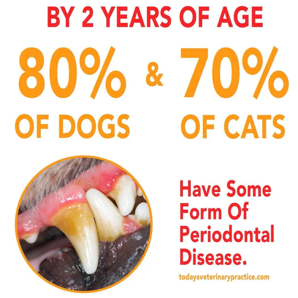Sentry Petrodex Advanced Enzymatic Poultry Flavored Toothpaste for Dogs